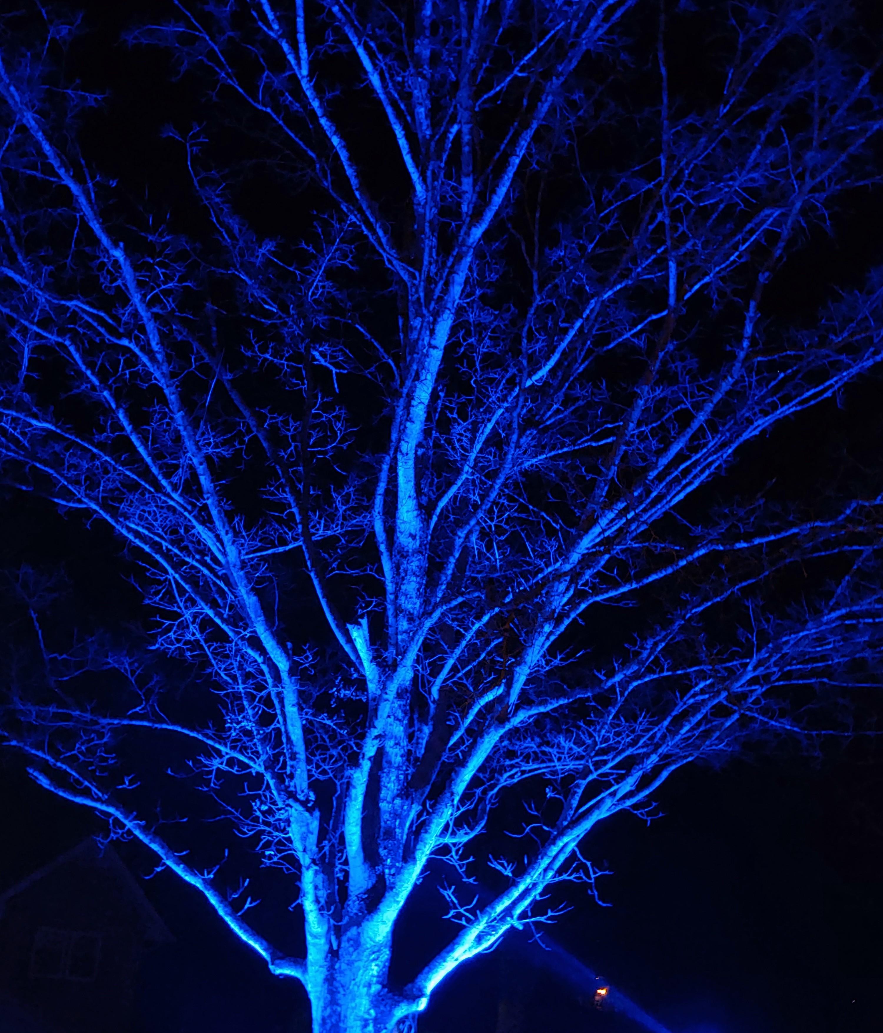 Tales of the Courier - A Stitch in Time