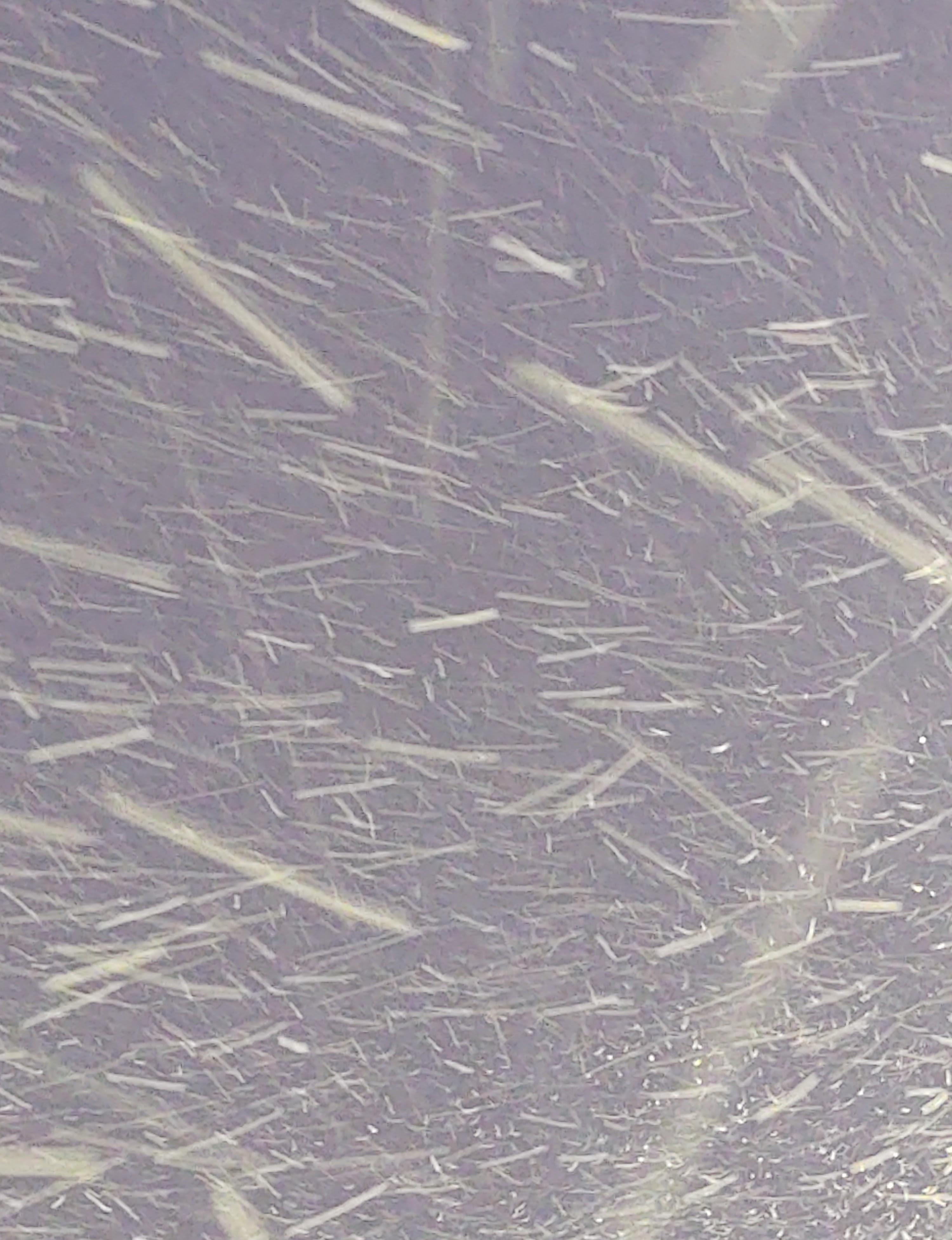 Tales of the Courier - The Long Road Home