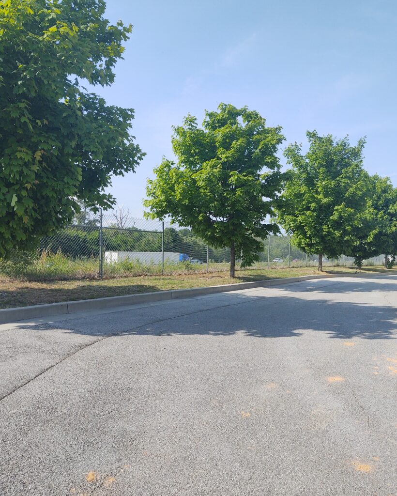 The Shade Tree Cool Down and 460 Air Conditioning