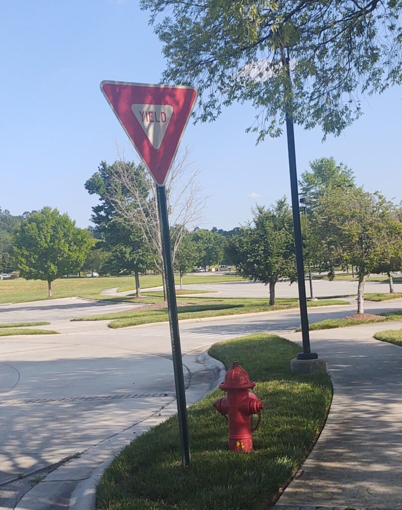 Staying Alert for the Surprise Road Hazard