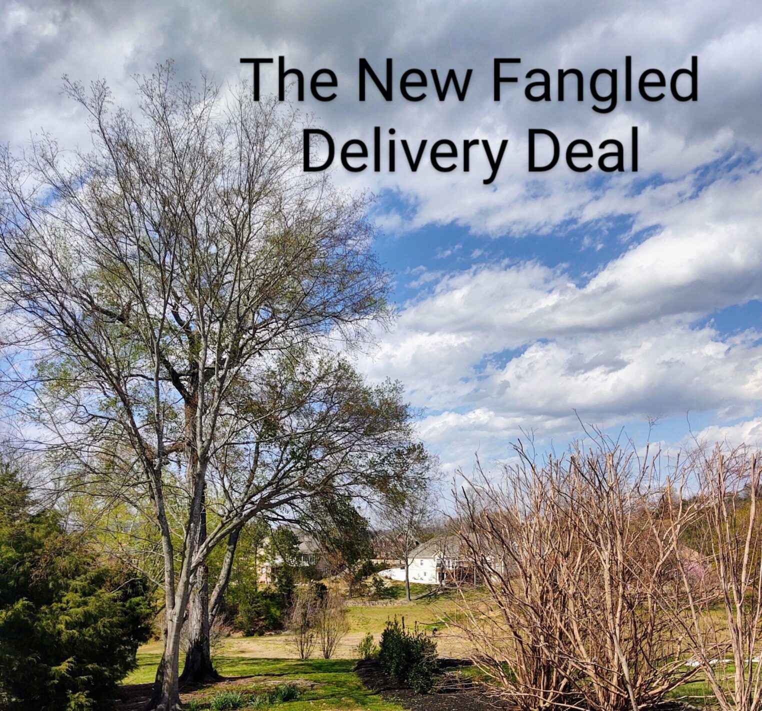 The New Fangled Delivery Deal