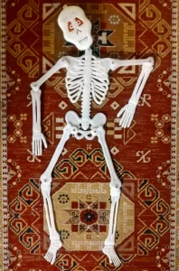 The frog and the Princess - Best of the skeleton surprise