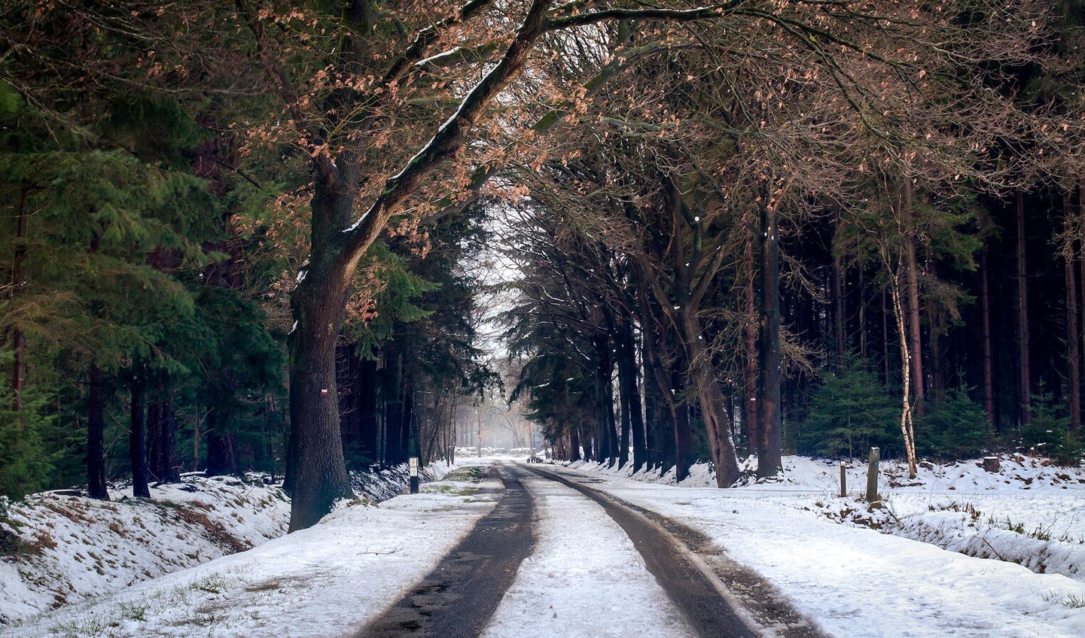 Road conditions and the best winter weather cargo care