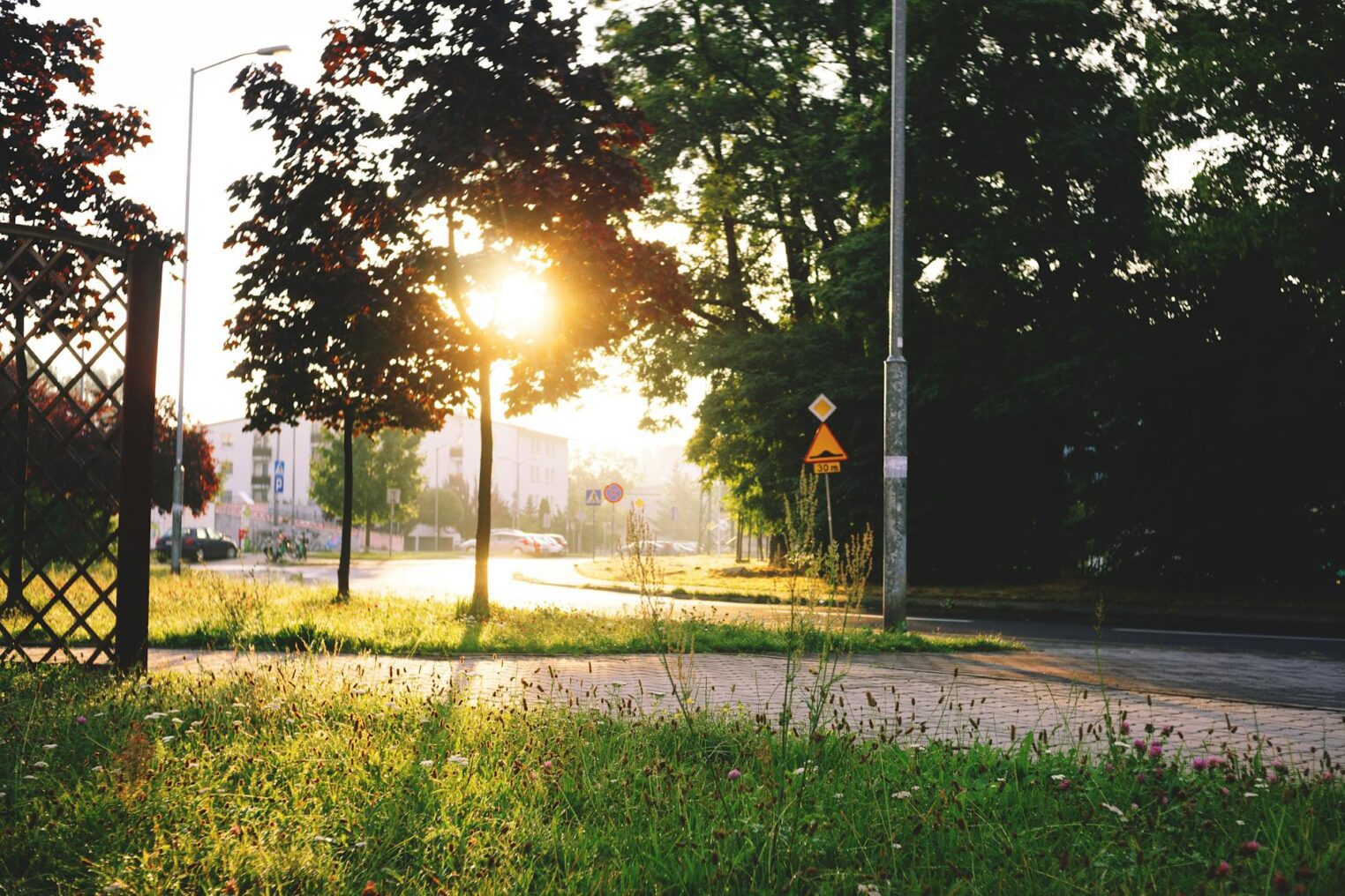 Day delivery and the night rush, which pays better?