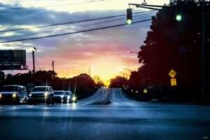 meal delivery reviews